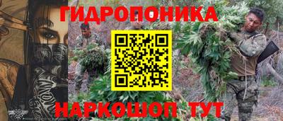 винт Дмитров