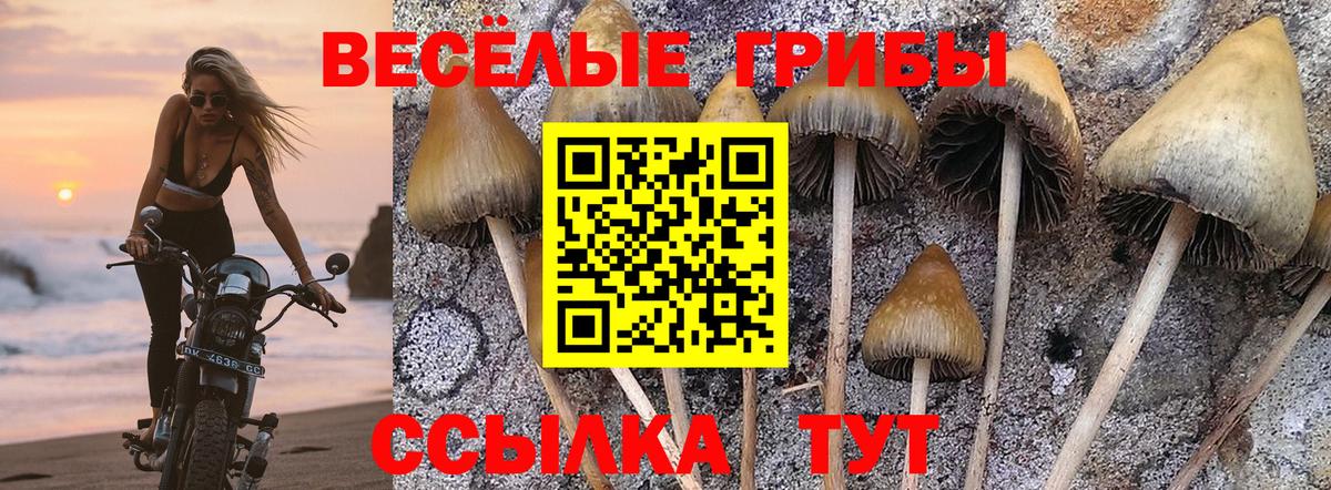 Псилоцибиновые грибы ЛСД Первоуральск