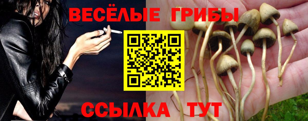 Первоуральск  Галлюциногенные грибы MAGIC MUSHROOMS  Вход с VPN 
